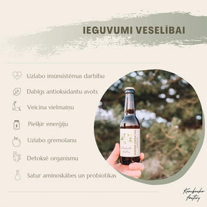 Kombucha Factory melnā tēja ar ogām 0.33L